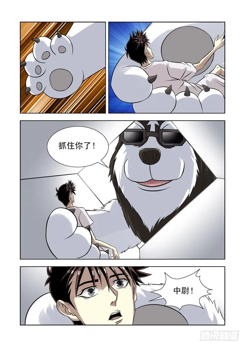 53 第3页