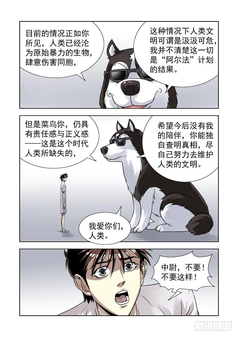 53 第11页