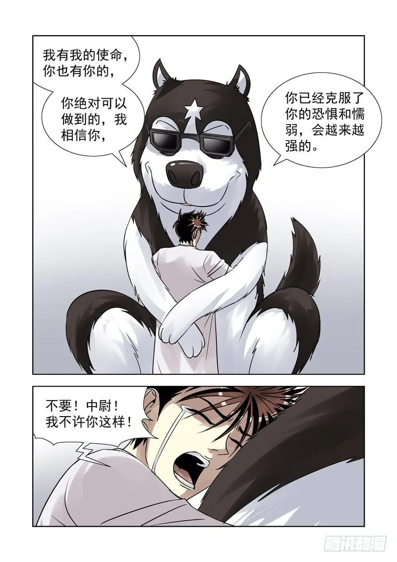 53 第12页