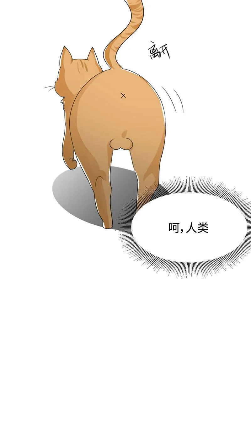 帅不过三秒 第27页
