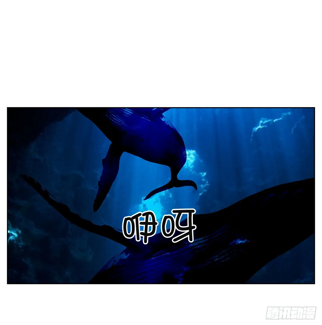 50.鲸鱼岛 第62页