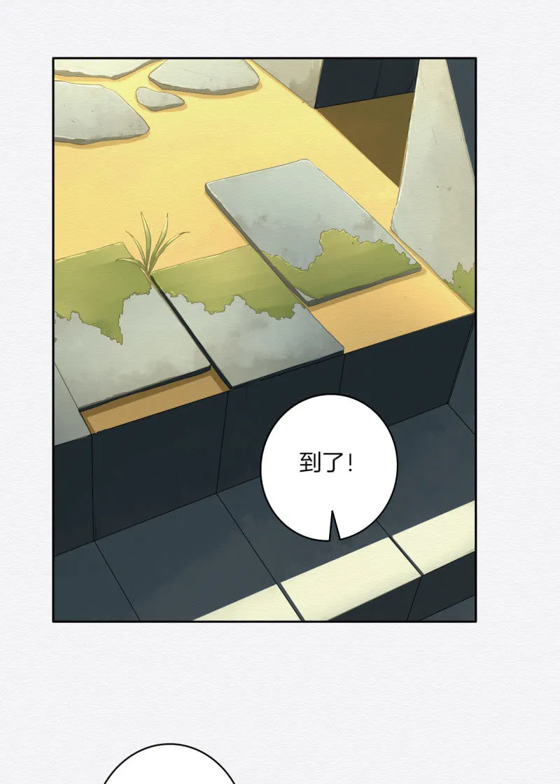 桃源 第3页