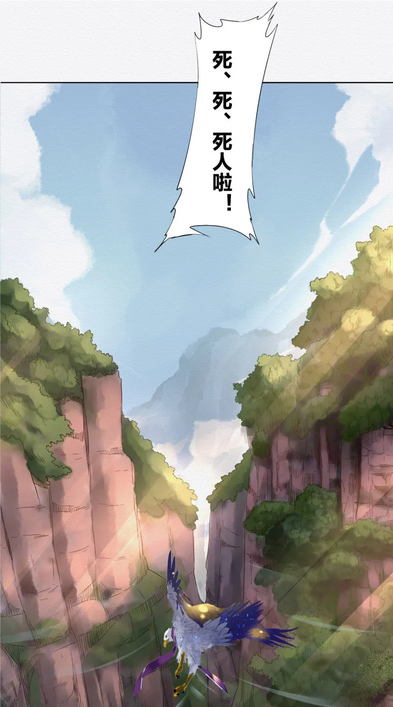 沈拓 第37页