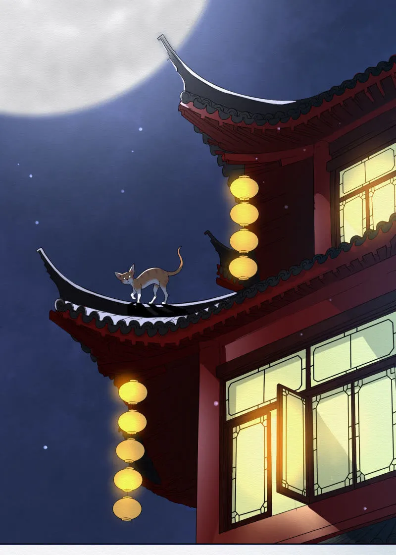 橘猫 第12页