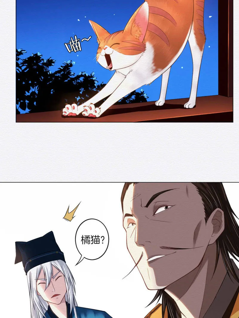 橘猫 第15页