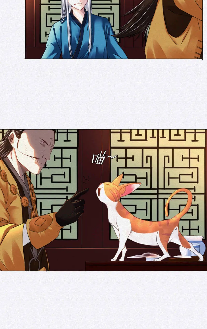 橘猫 第19页