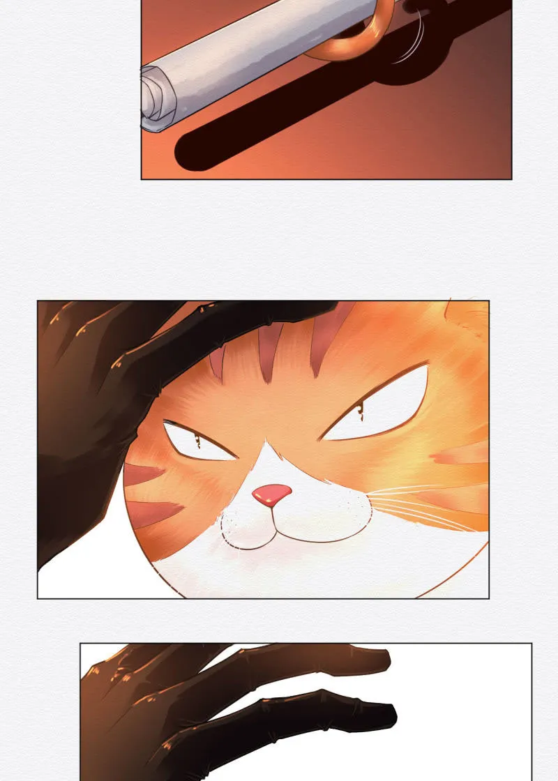 橘猫 第22页