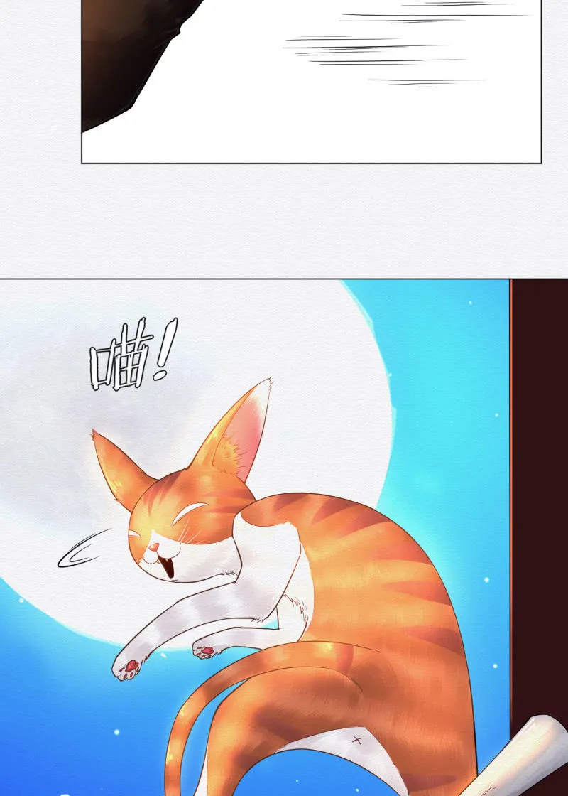 橘猫 第23页