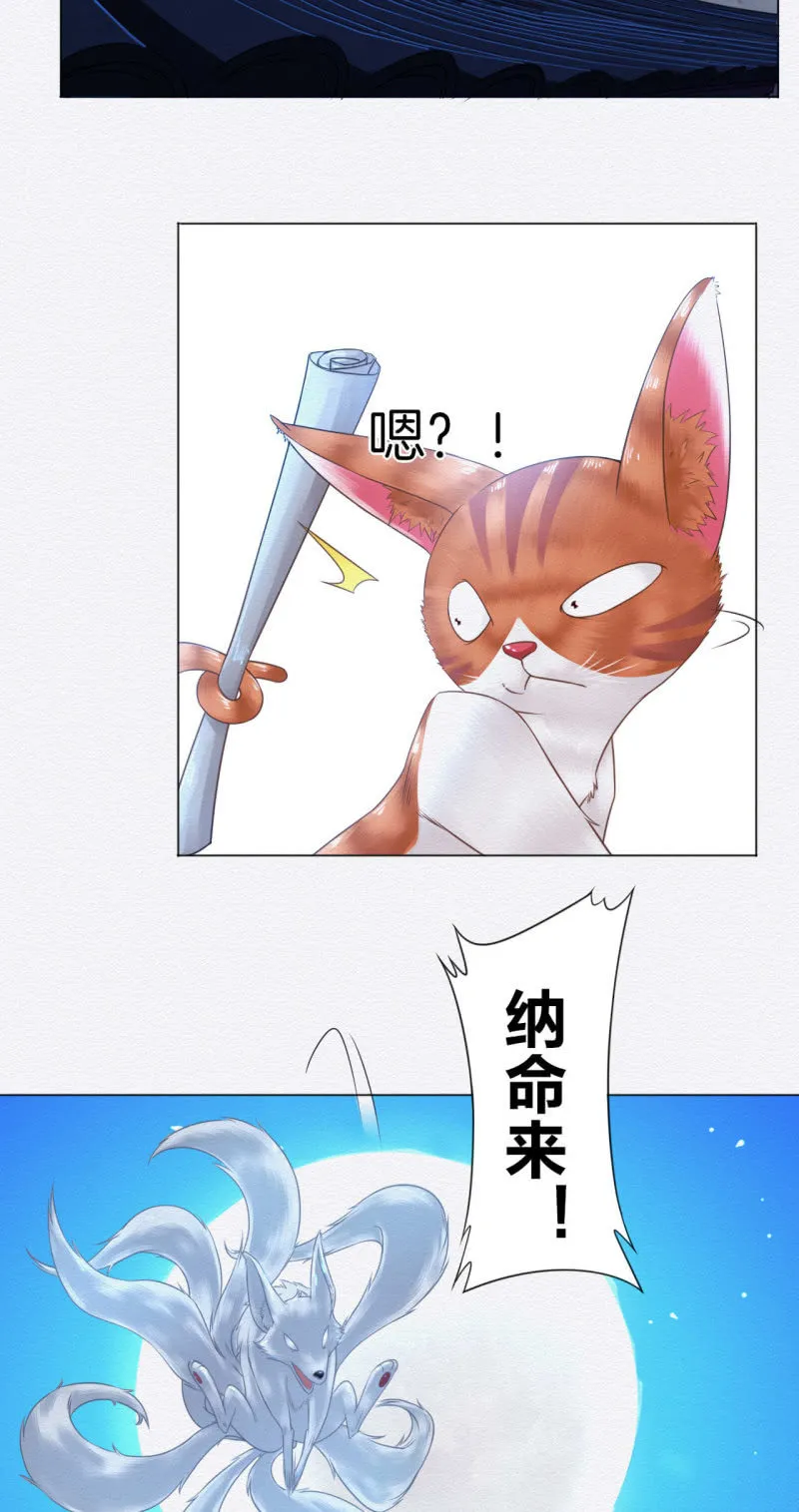 橘猫 第30页