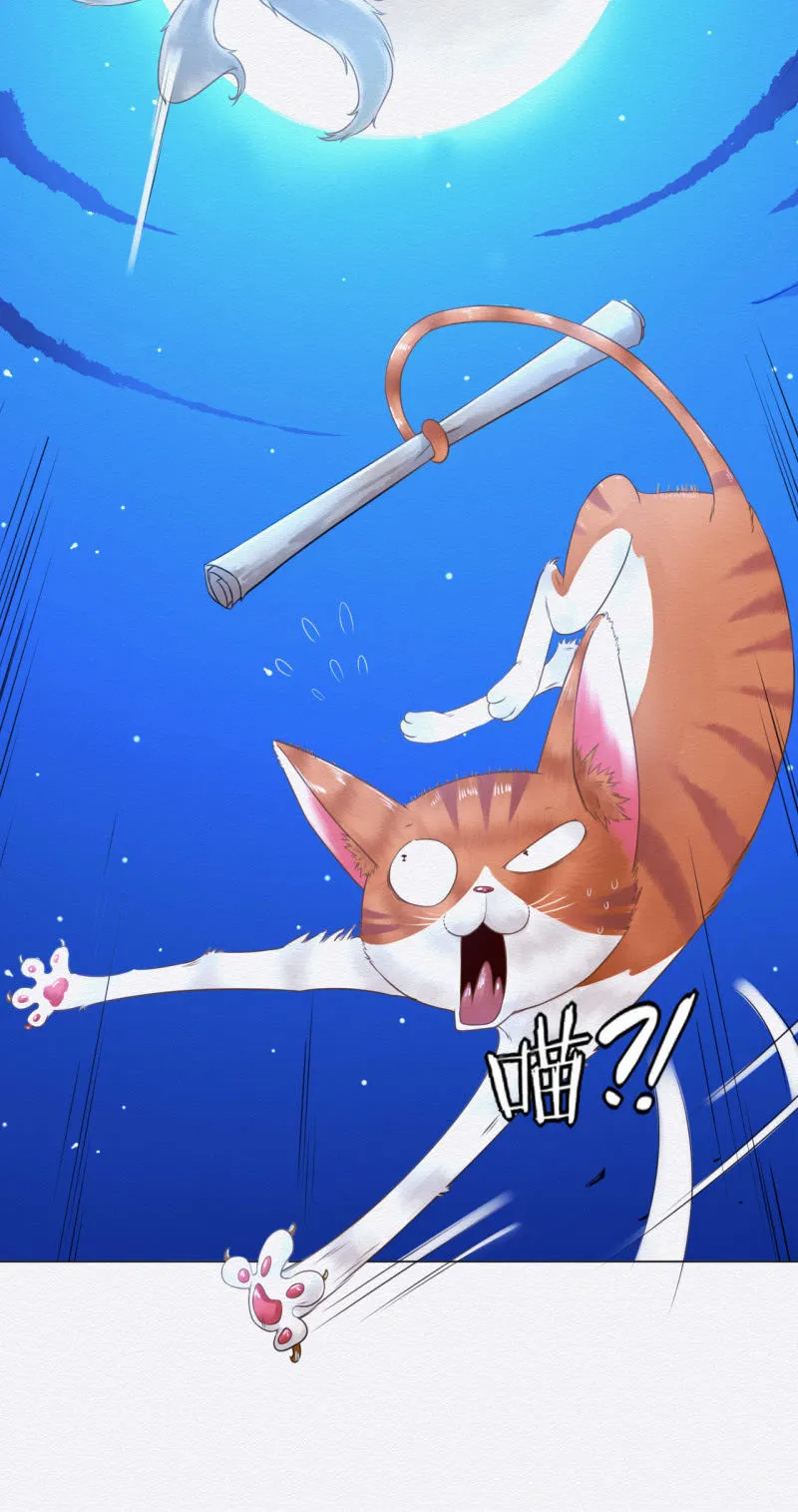 橘猫 第31页