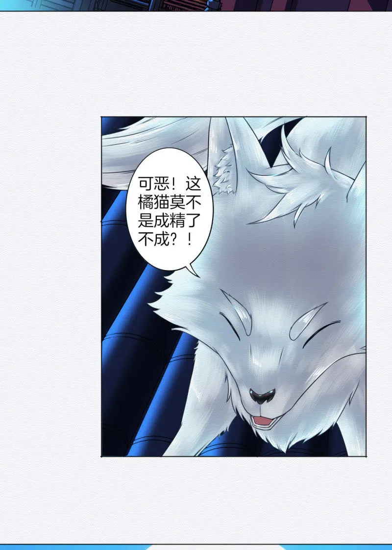 锦鲤 第7页