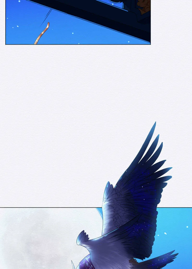 锦鲤 第35页