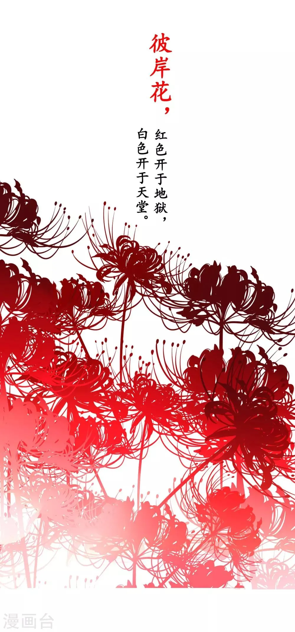 预告 第1页