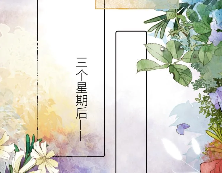第十二颗糖 第29页