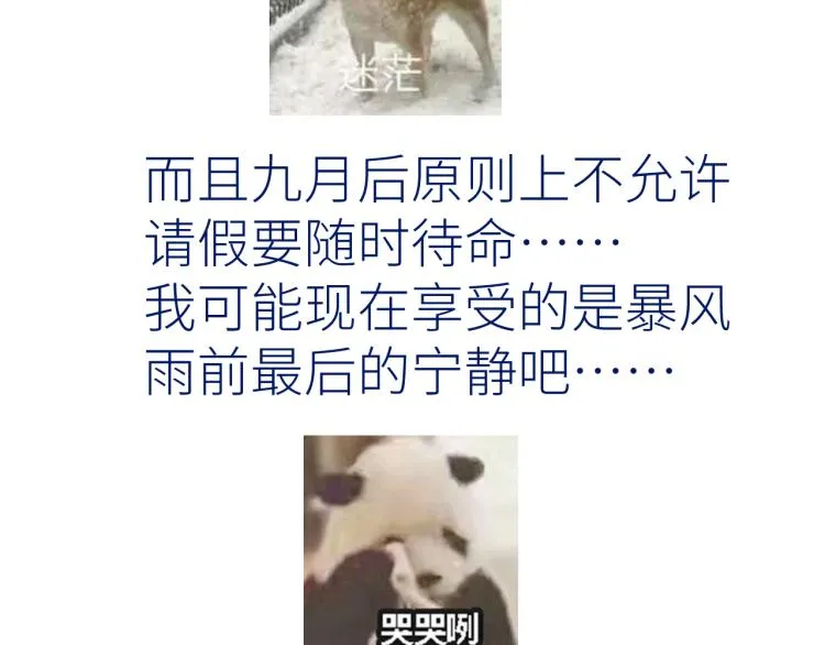 第十二颗糖 第85页
