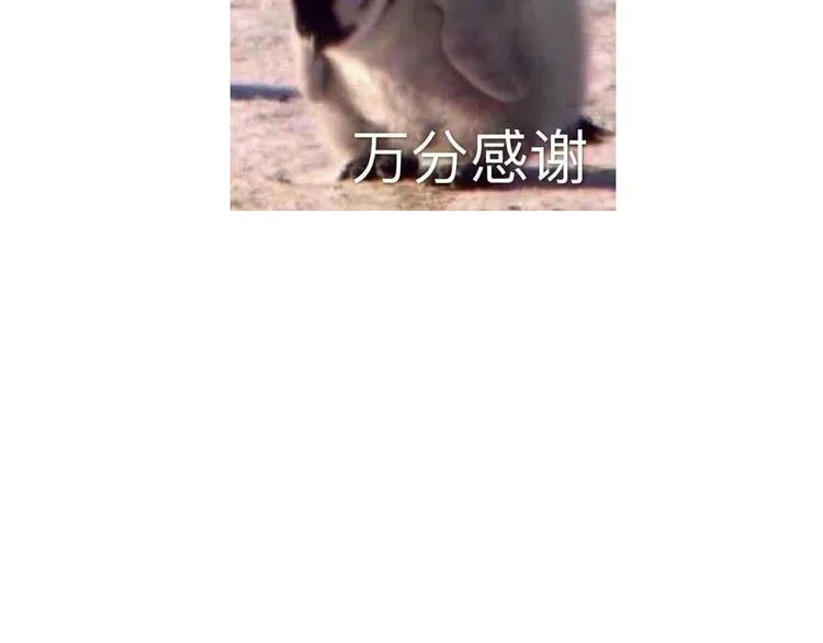 第六颗糖 第73页