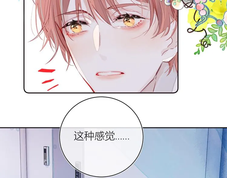 第三颗糖 第51页