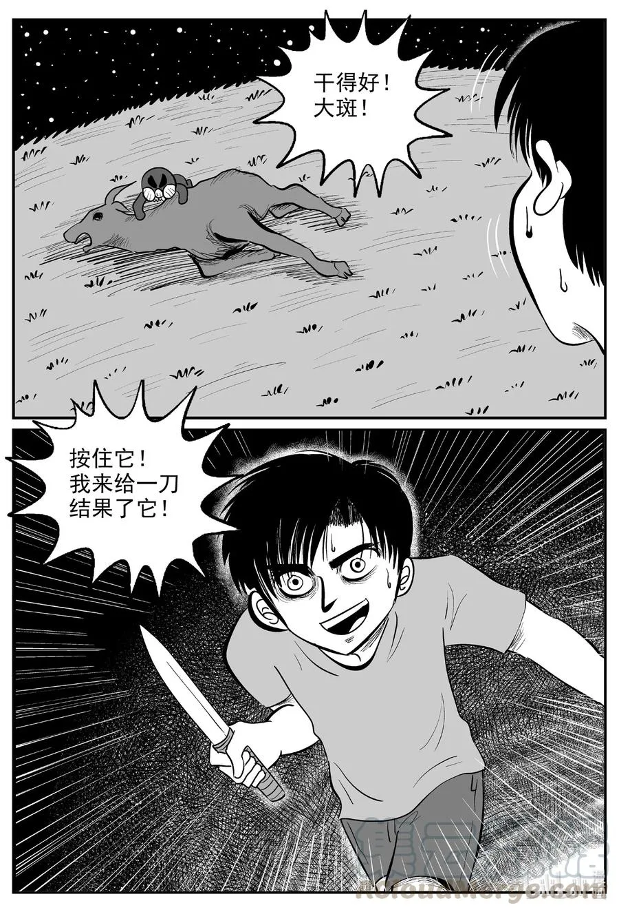 594 它1.5 第17页