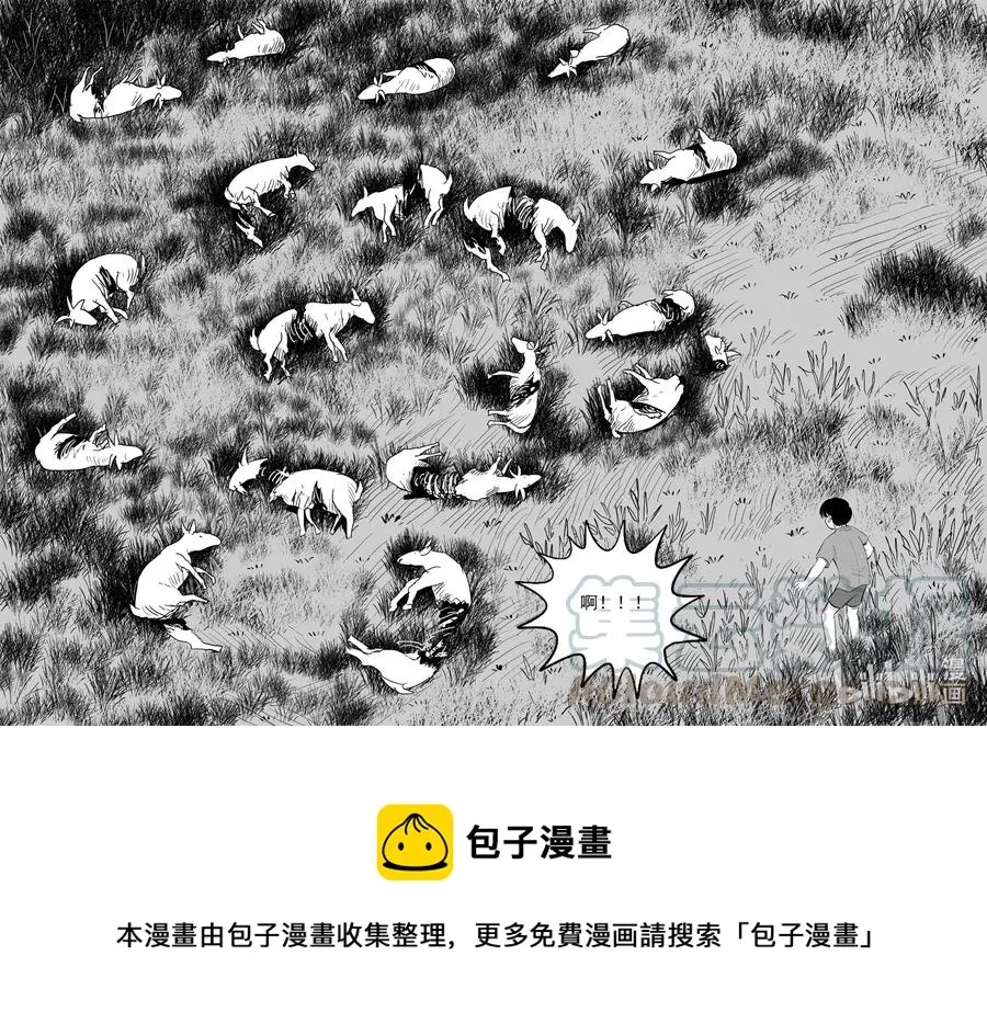 596 它1.5 第21页