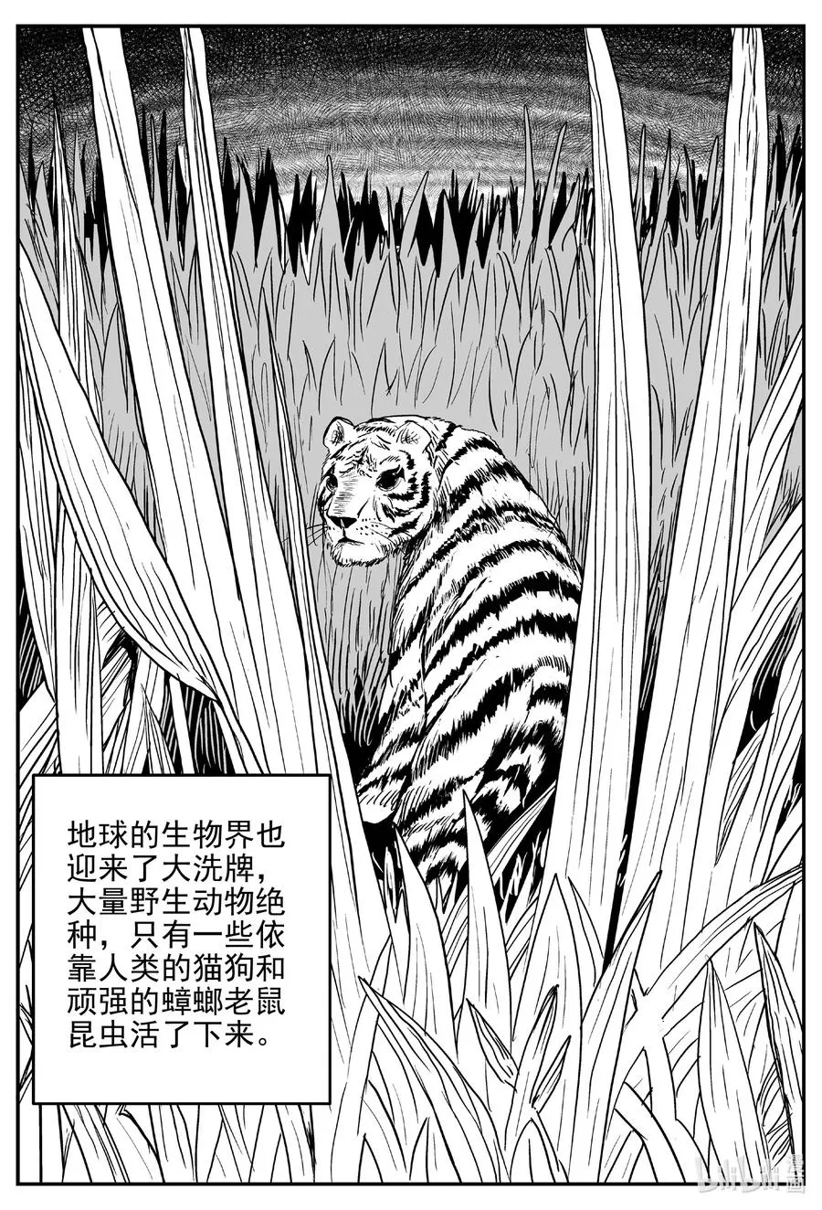 611 22世纪杀人网络 第4页
