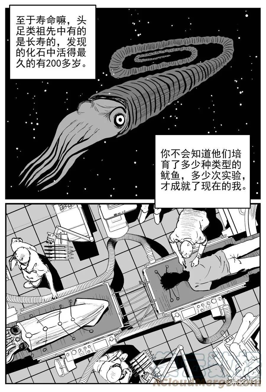 650 纯净世界 第3页