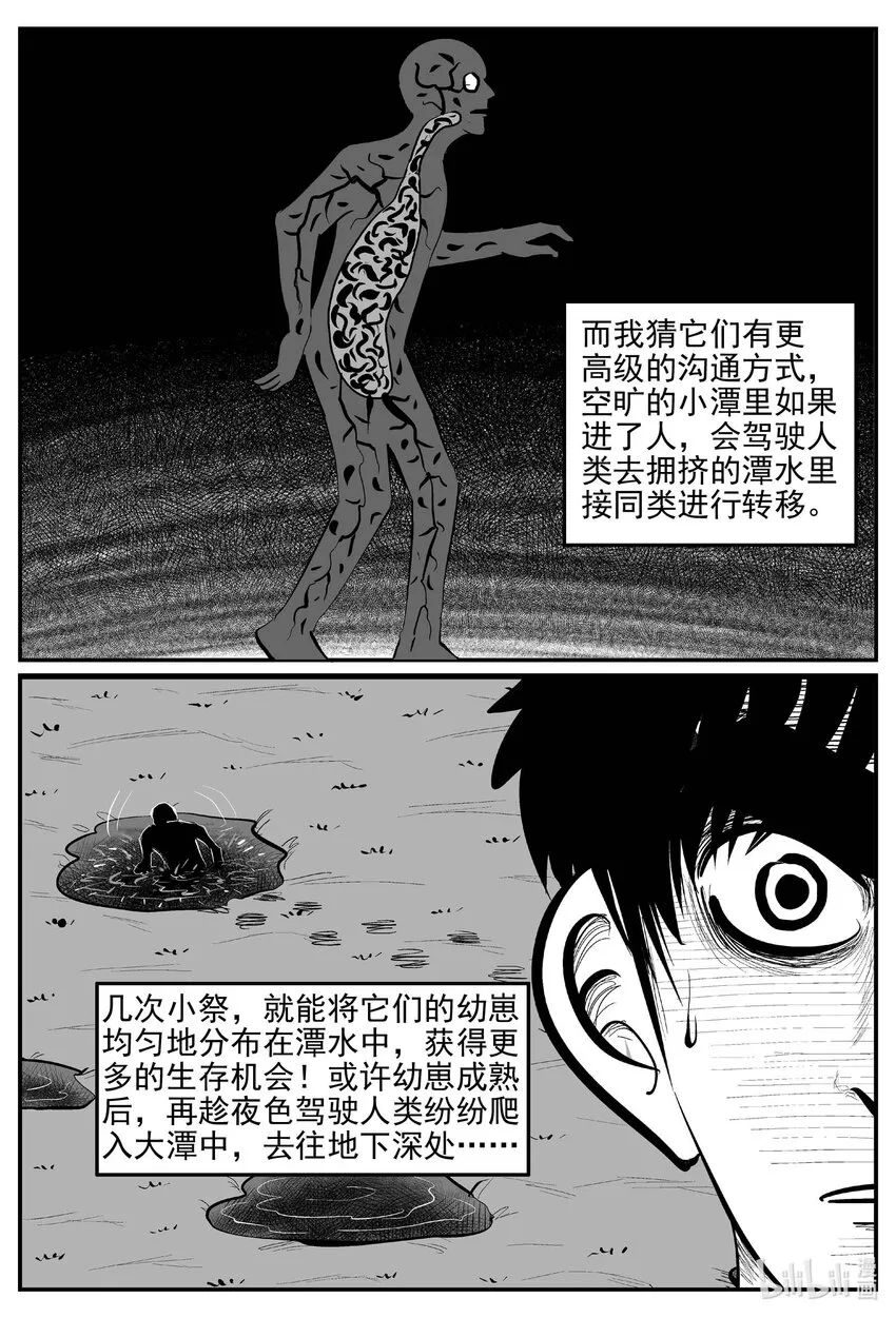 811 深潭岗大祭 第11页
