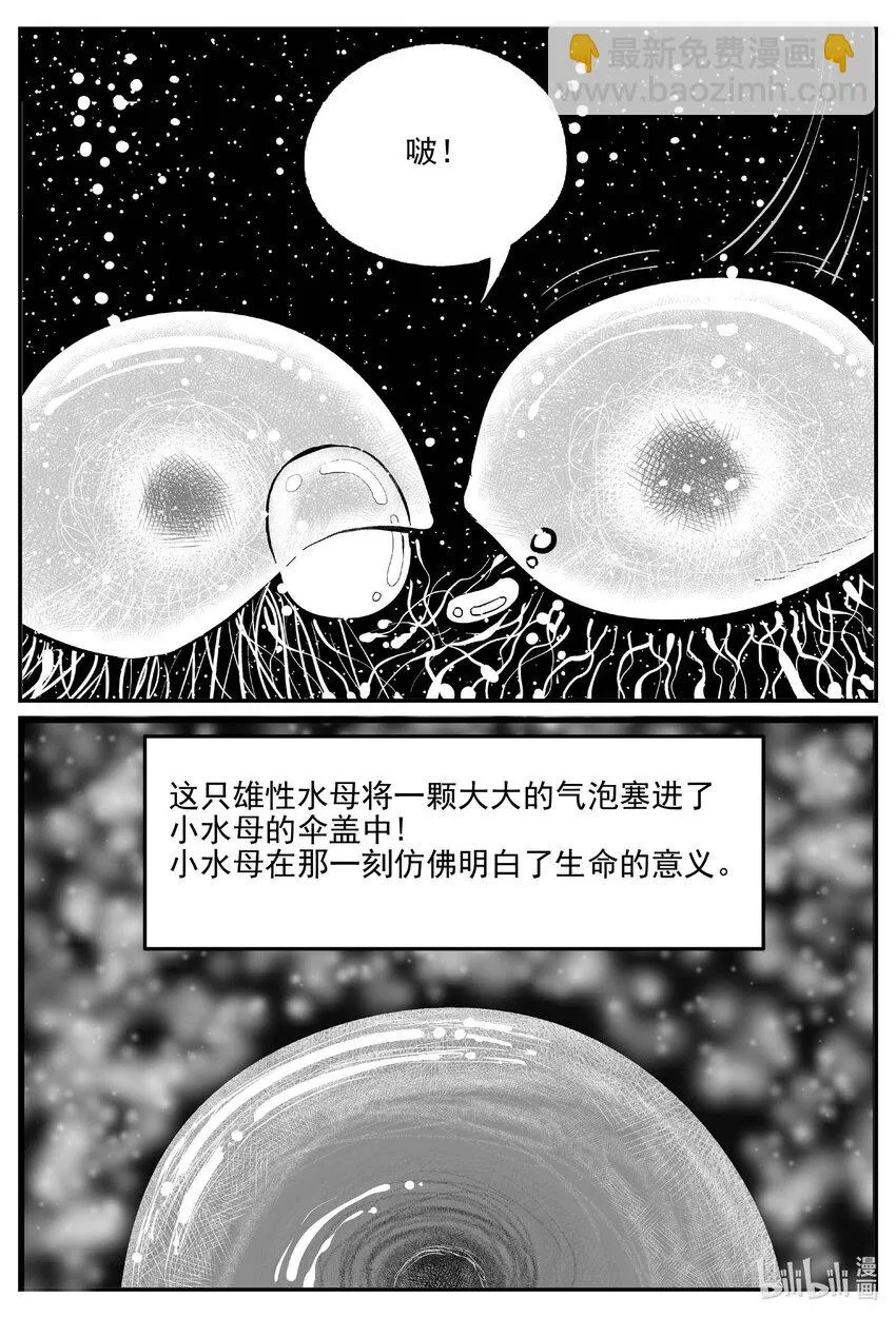 825 回归 第15页