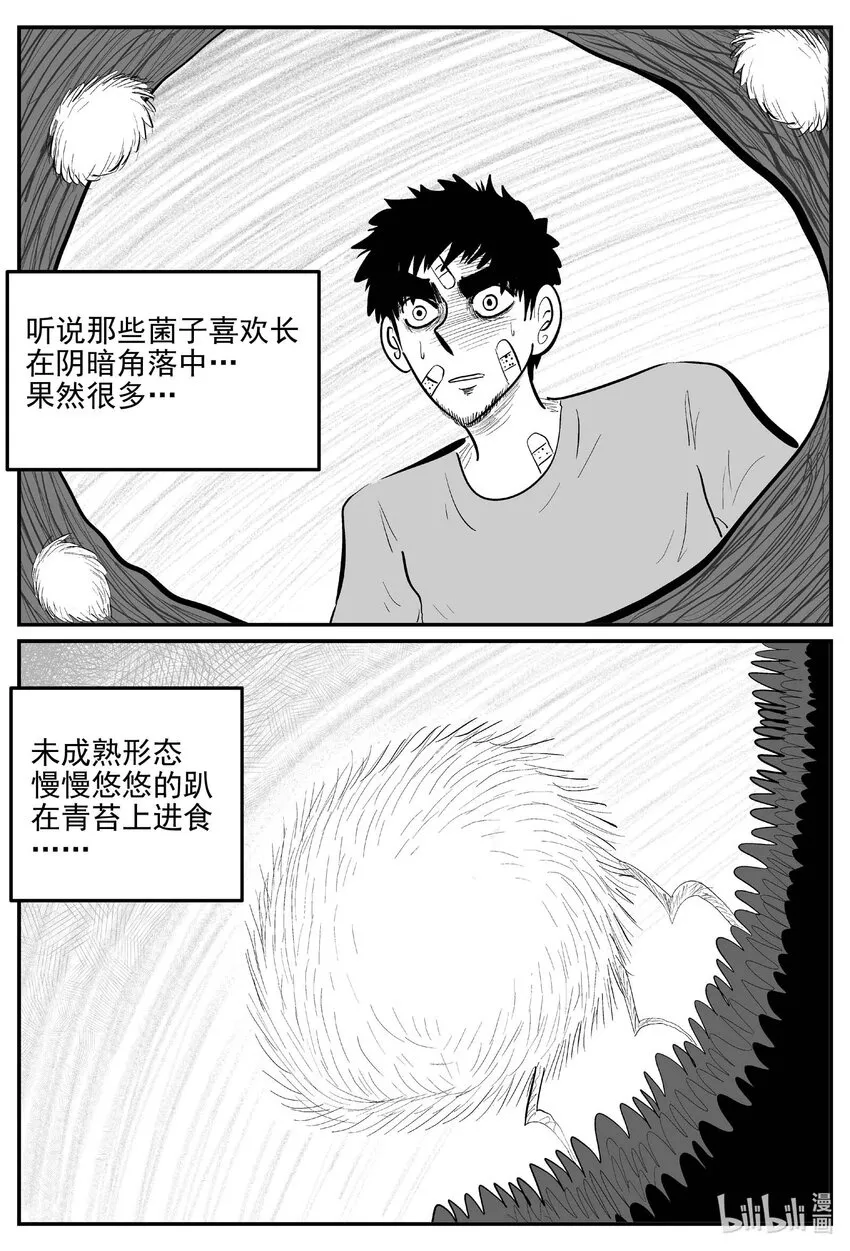 868 人类末日之旅 第2页
