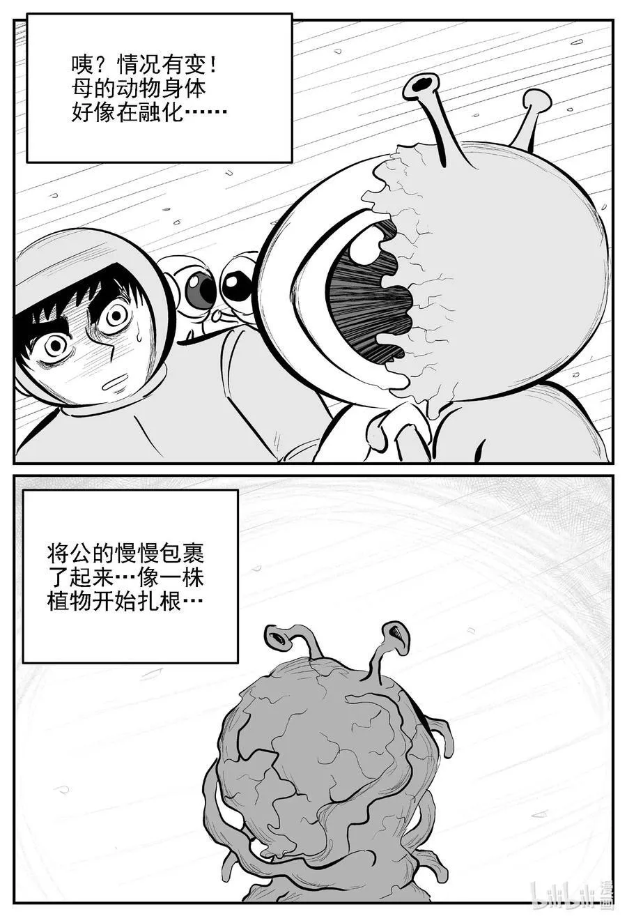 980 爱之星 第15页