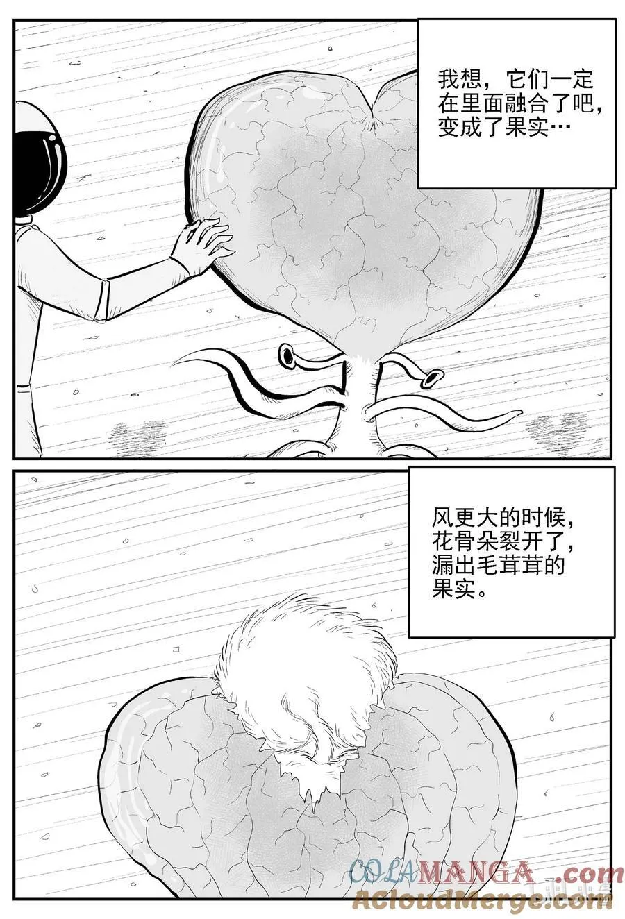 981 爱之星 第5页