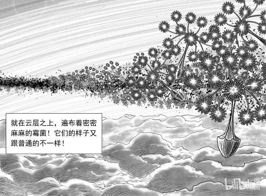 747 它8 第5页