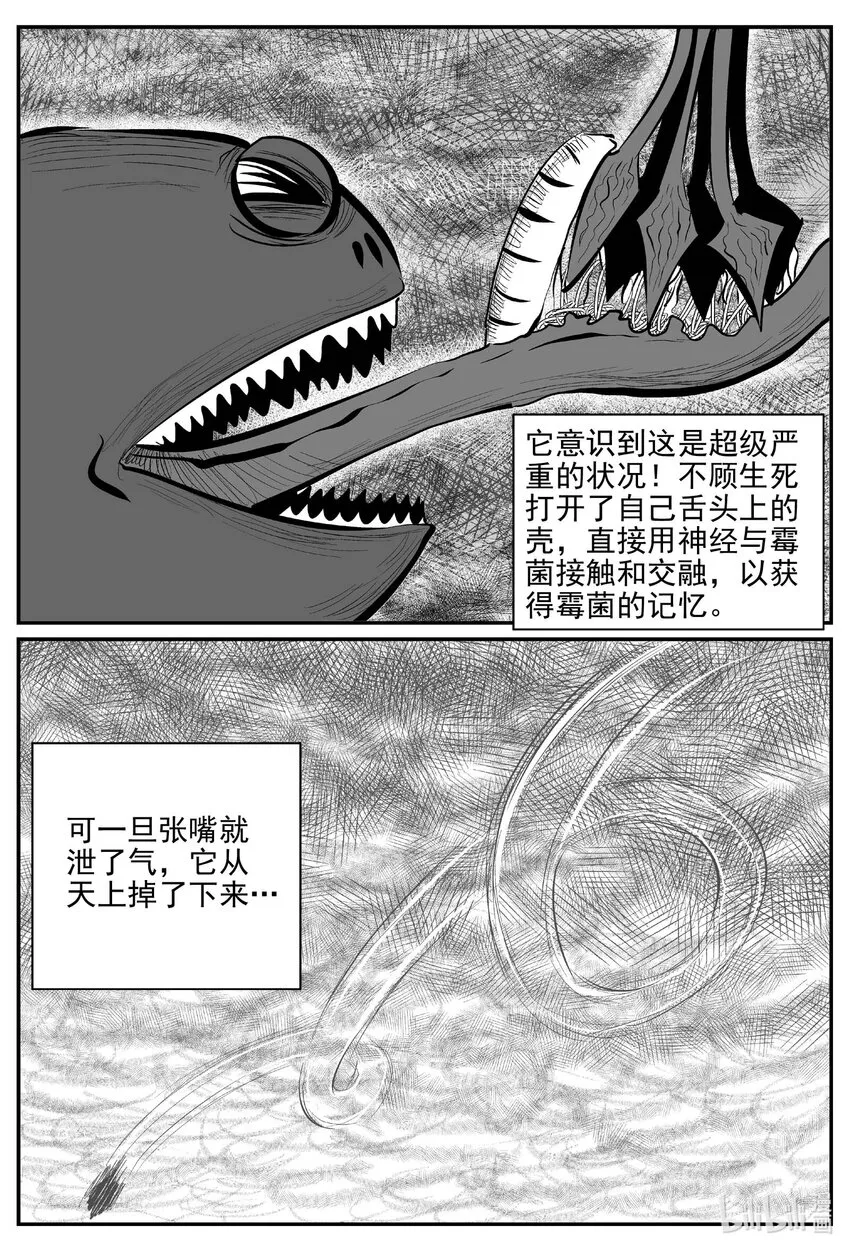 747 它8 第6页