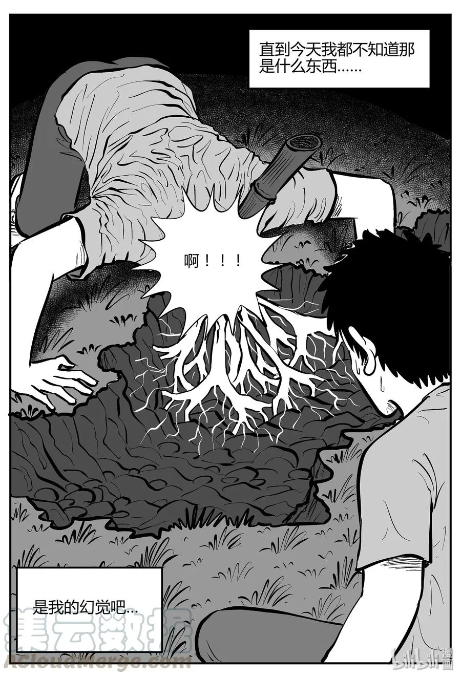 298 地知（2） 第13页