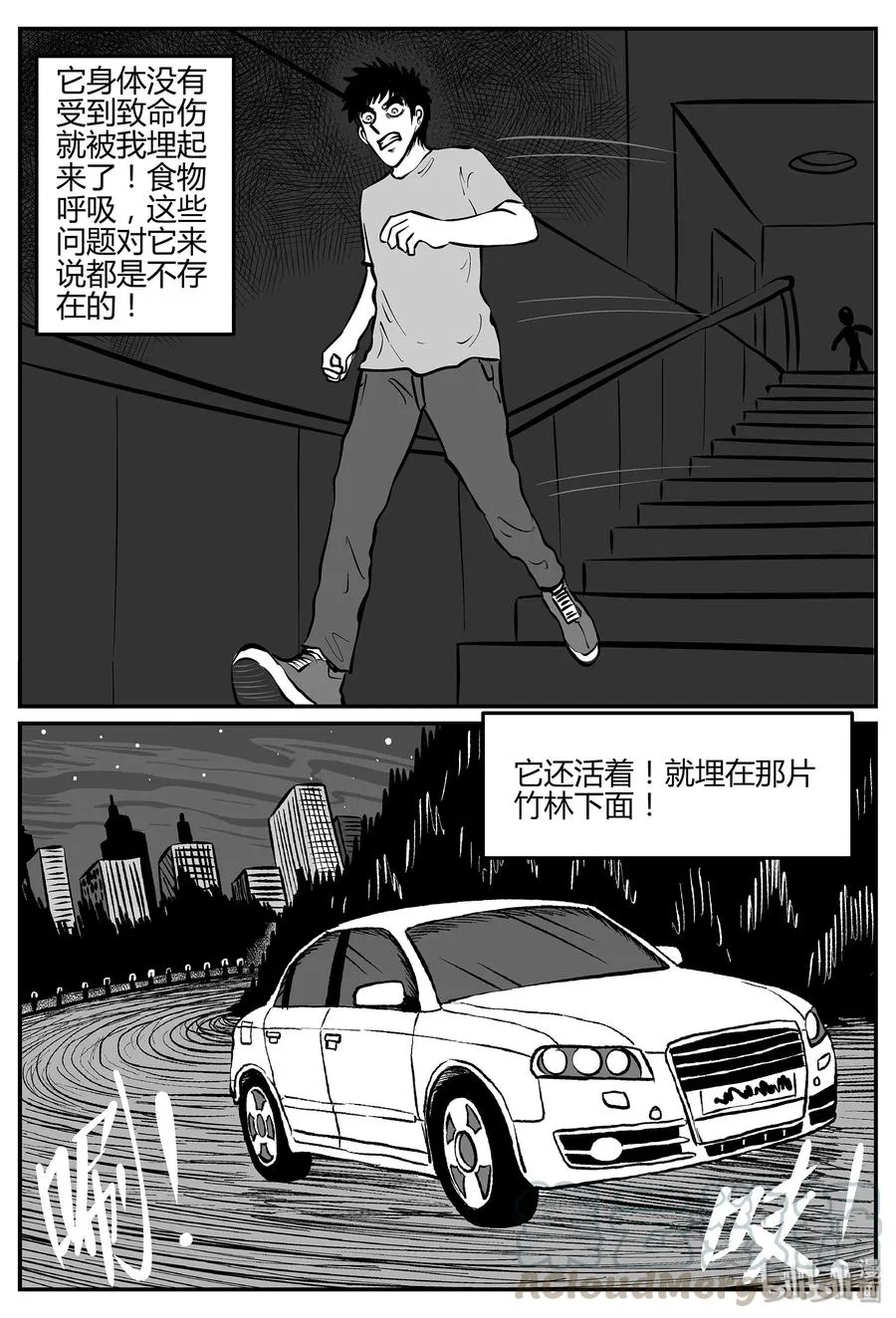 296 地知（4） 第10页