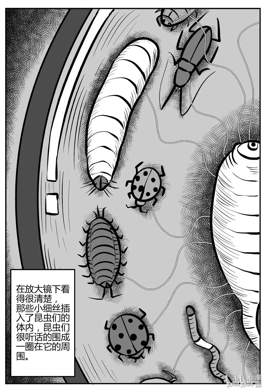 307 寄生虫（5） 第14页