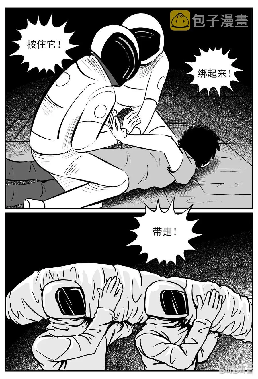 381 它：6（13） 第17页
