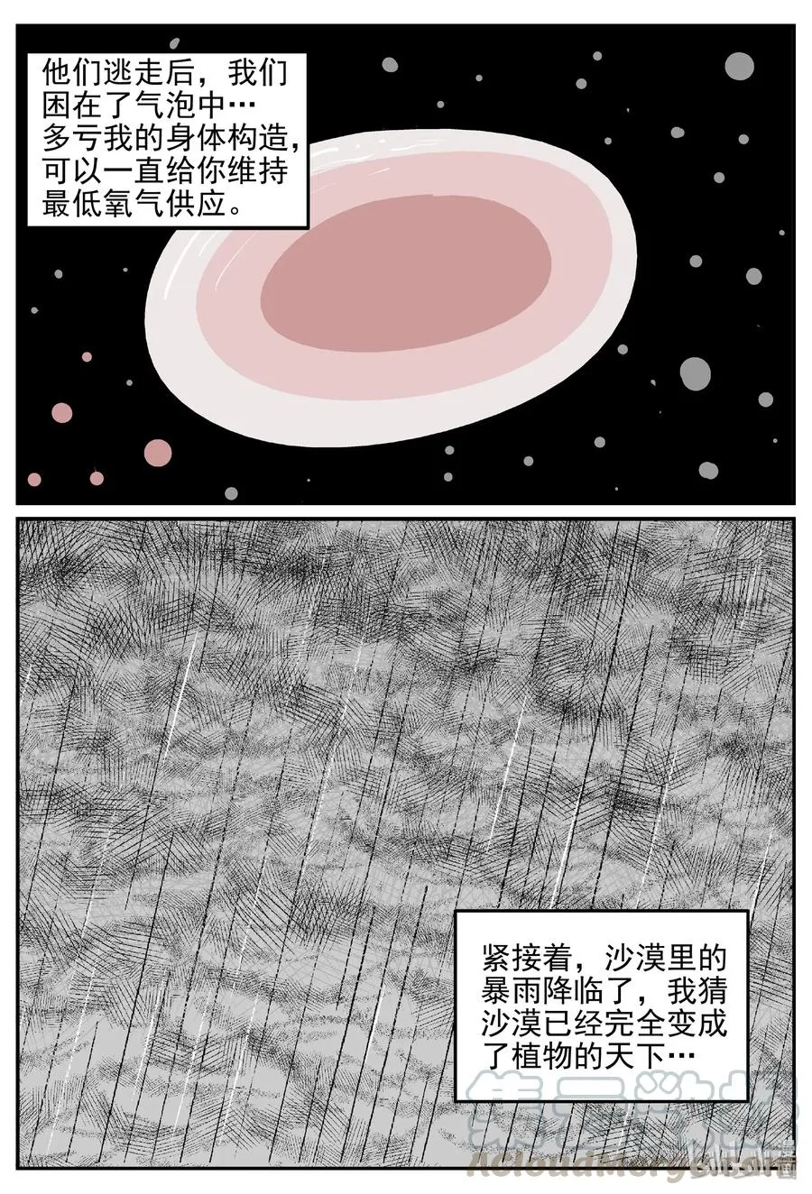 383 它：6（15） 第13页