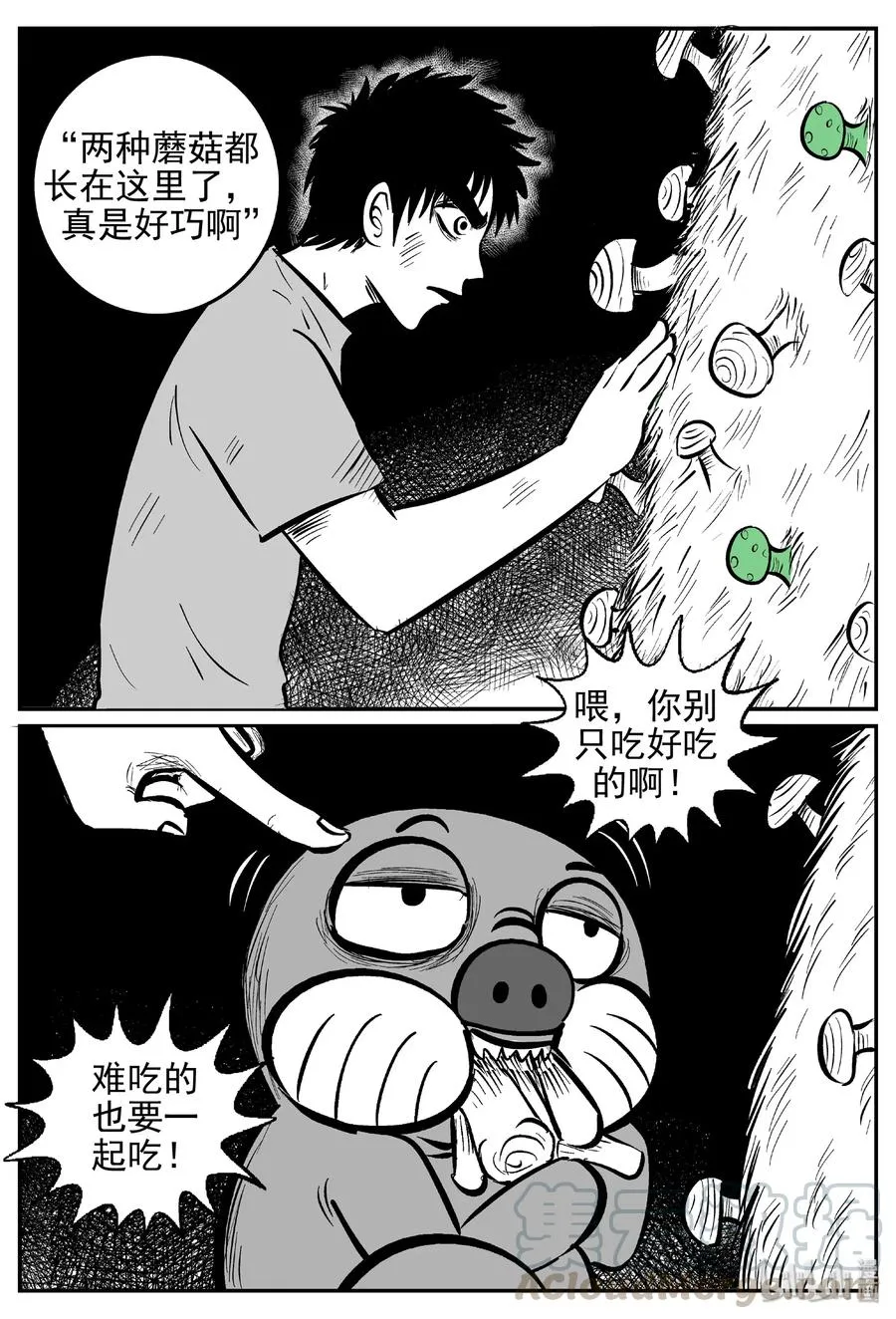 426 它5.5（8） 第16页