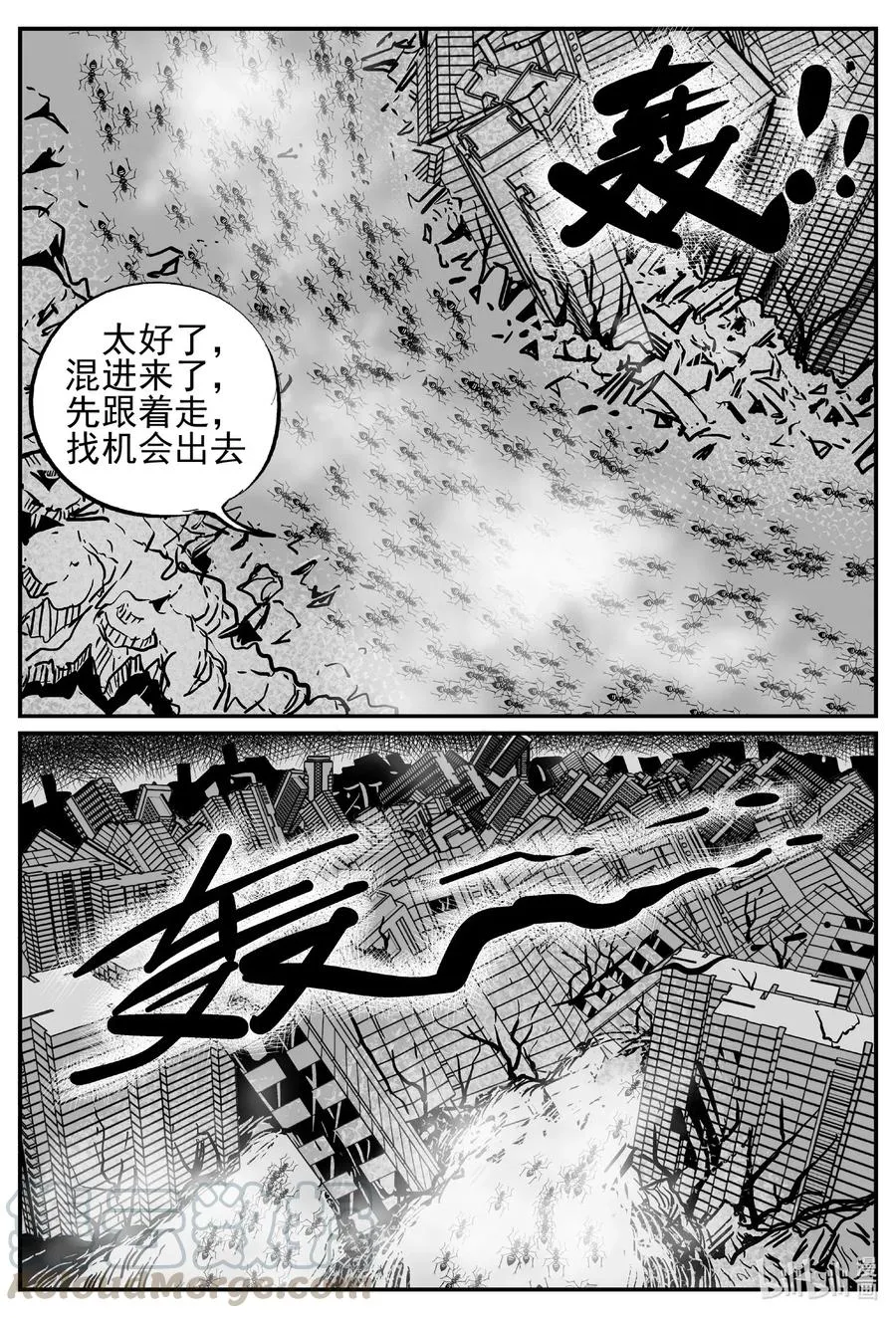 494 它7 第13页