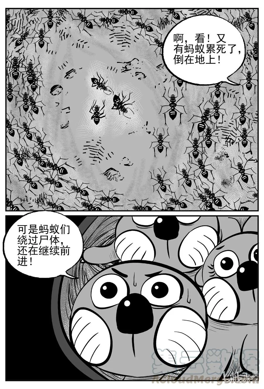 494 它7 第16页
