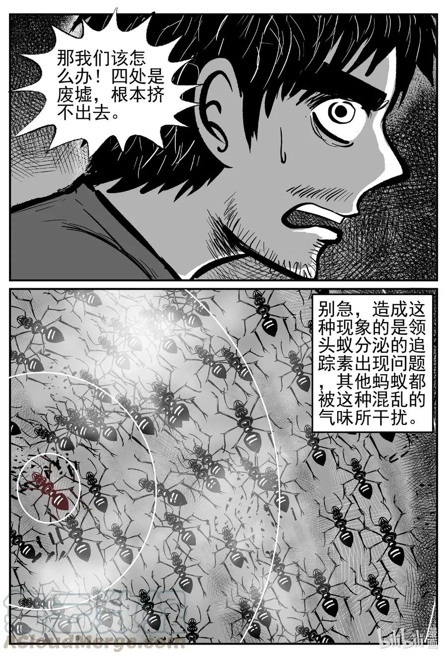 494 它7 第19页