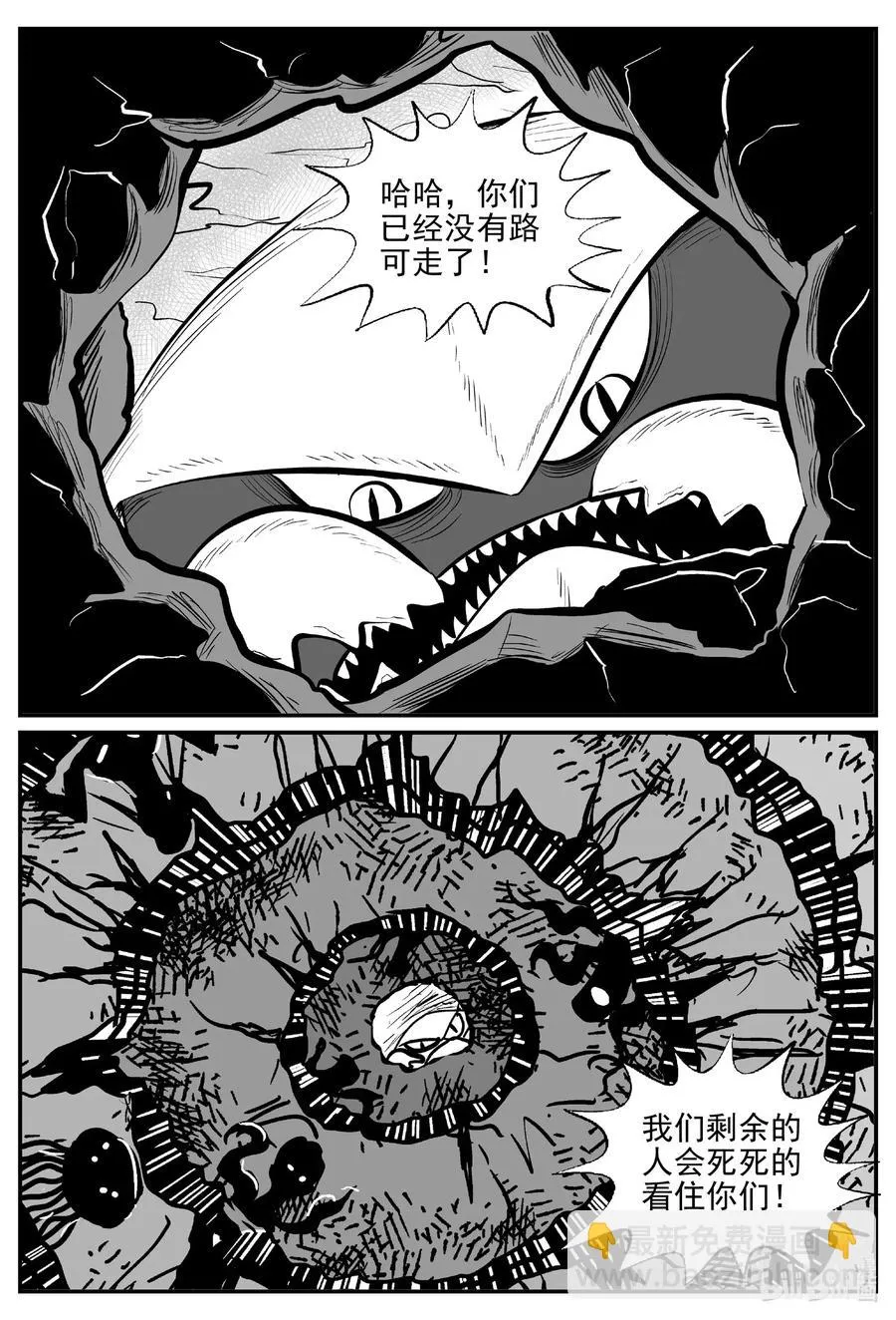 505 它7 第14页