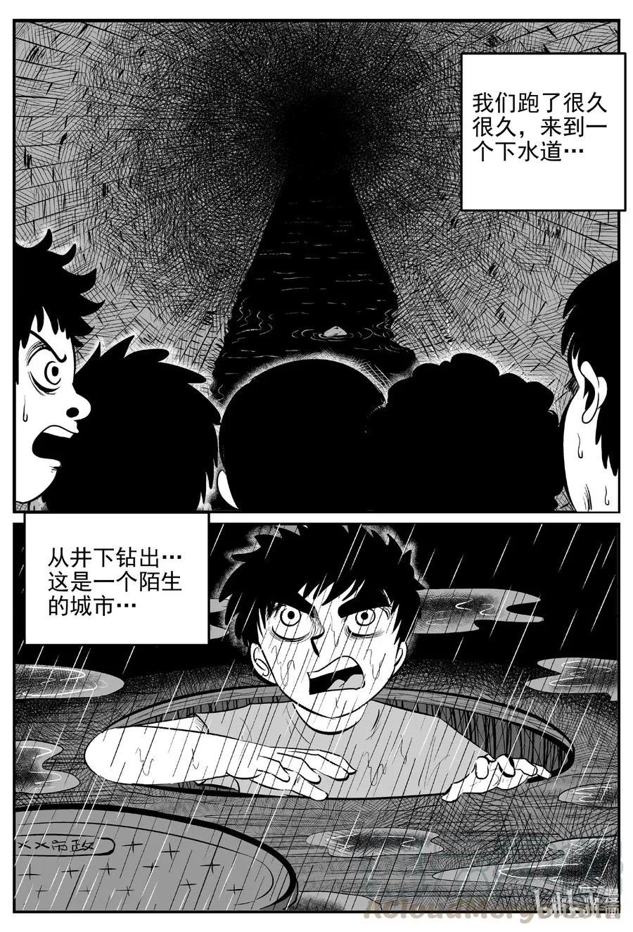 517 红房子 第13页