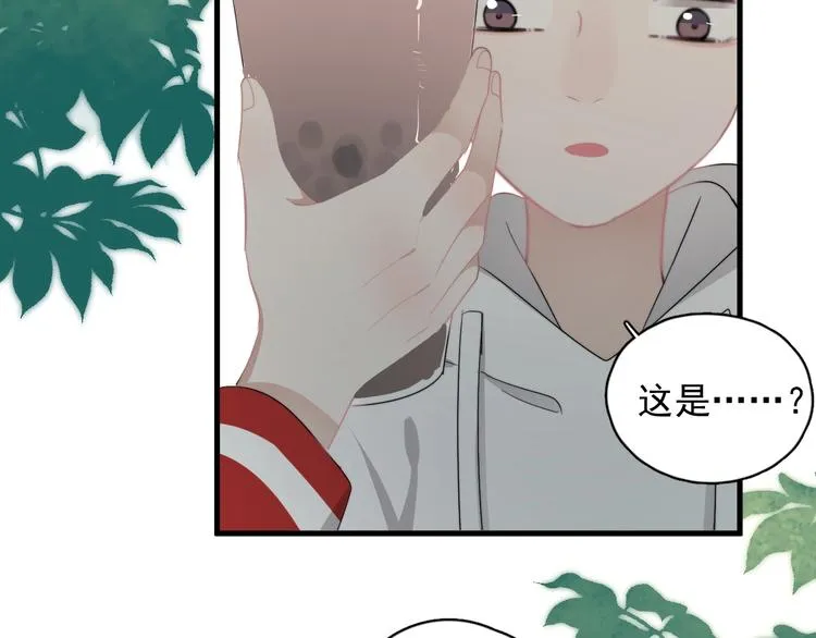 番外 童年的村庄和奶茶 第71页