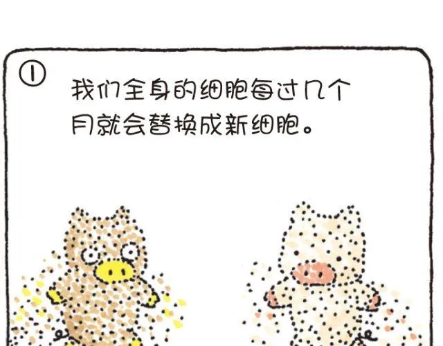第46话 变化和永远 第4页