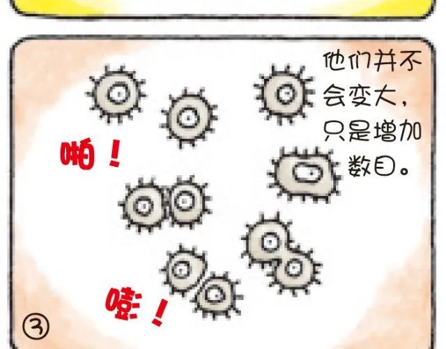 第45话 生命的河流 第11页