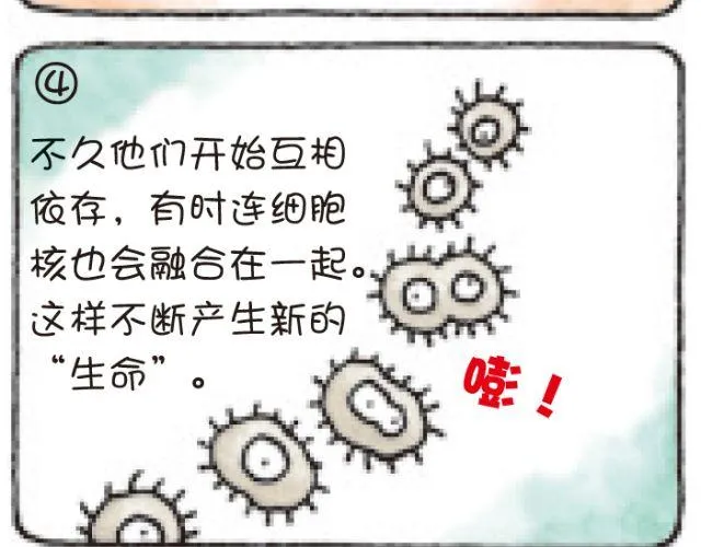 第45话 生命的河流 第12页