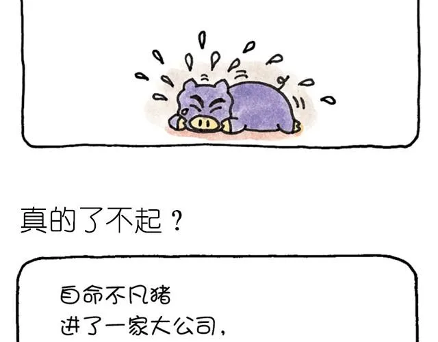 第8话 不切实际的猪 第8页