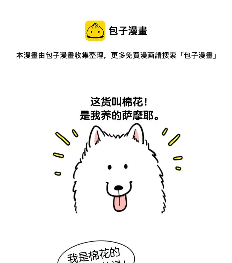 序章 我有一只萨摩耶 第1页