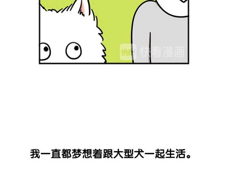序章 我有一只萨摩耶 第3页